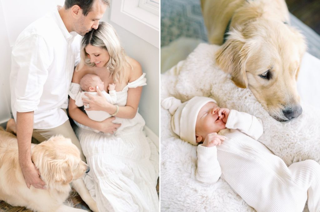 Dog and newborn included during in home session with images taken by Franklin newborn photographer