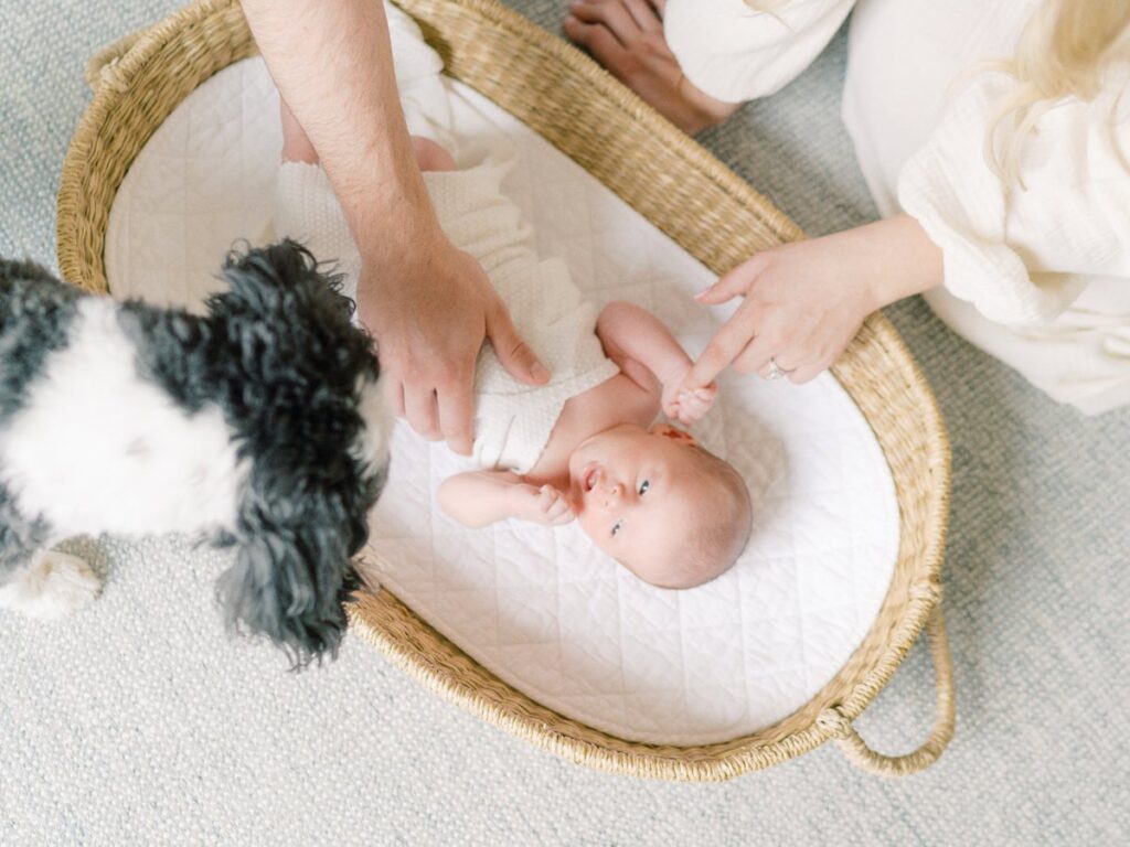 Newborn baby in a woven basket with mom, dad, and puppy looking over baby